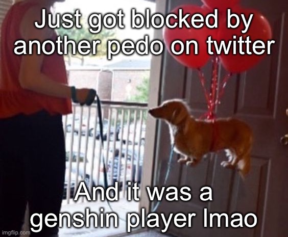 walkin me dog fr | Just got blocked by another pedo on twitter; And it was a genshin player lmao | image tagged in walkin me dog fr | made w/ Imgflip meme maker