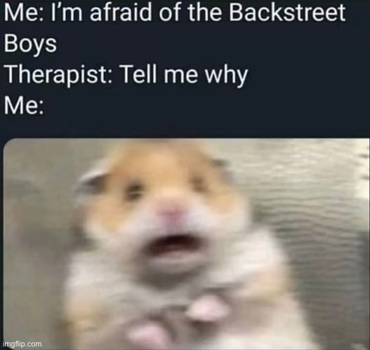 AAAAAAAAAA | image tagged in scared hamster,therapist,boys,memes,funny,backstreet | made w/ Imgflip meme maker