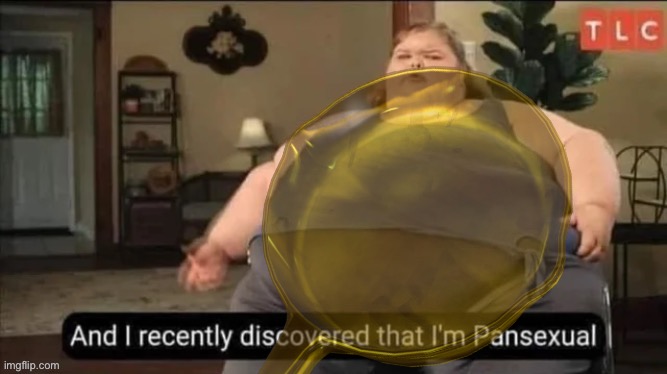 Just as a conclusion: a pan became straight because of her | made w/ Imgflip meme maker