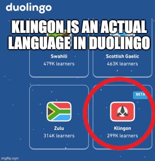 Why am I not surprised? | KLINGON IS AN ACTUAL LANGUAGE IN DUOLINGO | image tagged in custom template,klingon,duolingo | made w/ Imgflip meme maker