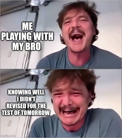 Pedro Pascal | ME PLAYING WITH MY BRO KNOWING WELL I DIDN'T REVISED FOR THE TEST OF TOMORROW | image tagged in pedro pascal | made w/ Imgflip meme maker