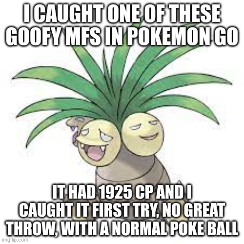 i'm too good | I CAUGHT ONE OF THESE GOOFY MFS IN POKEMON GO; IT HAD 1925 CP AND I CAUGHT IT FIRST TRY, NO GREAT THROW, WITH A NORMAL POKE BALL | made w/ Imgflip meme maker