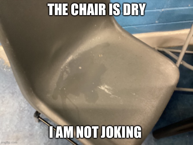 Its dry | THE CHAIR IS DRY; I AM NOT JOKING | image tagged in chair | made w/ Imgflip meme maker