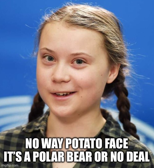 Greta Thunberg | NO WAY POTATO FACE IT’S A POLAR BEAR OR NO DEAL | image tagged in greta thunberg | made w/ Imgflip meme maker