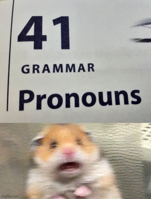 OH FRI- | image tagged in screaming hampster,pronouns,oh no,grammar,memes,funny | made w/ Imgflip meme maker