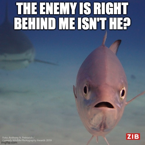 He is right behind me? | THE ENEMY IS RIGHT BEHIND ME ISN'T HE? | image tagged in he is right behind me | made w/ Imgflip meme maker