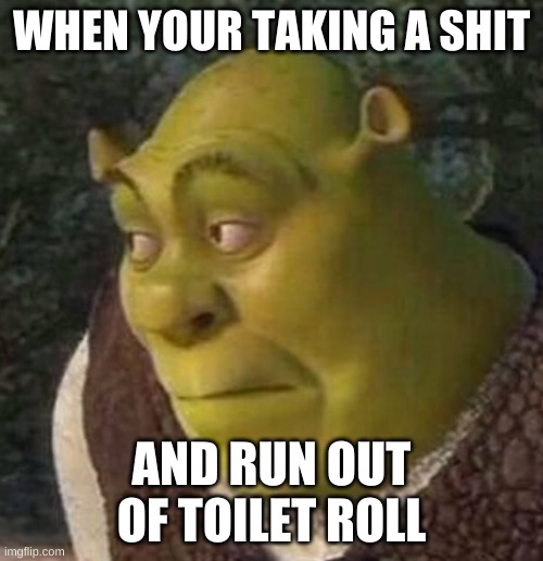 Shrek | WHEN YOUR TAKING A SHIT; AND RUN OUT OF TOILET ROLL | image tagged in shrek | made w/ Imgflip meme maker