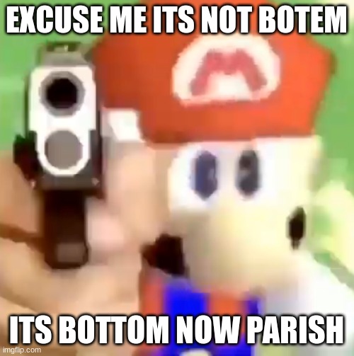 Mario with gun | EXCUSE ME ITS NOT BOTEM ITS BOTTOM NOW PARISH | image tagged in mario with gun | made w/ Imgflip meme maker