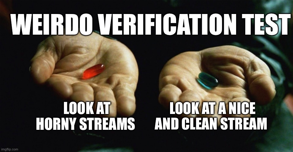 Red pill blue pill | WEIRDO VERIFICATION TEST; LOOK AT HORNY STREAMS; LOOK AT A NICE AND CLEAN STREAM | image tagged in red pill blue pill | made w/ Imgflip meme maker