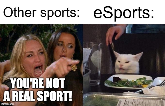 Other Sports vs. eSports | Other sports:; eSports:; YOU'RE NOT A REAL SPORT! | image tagged in memes,woman yelling at cat,esports,sports,gaming,video games | made w/ Imgflip meme maker