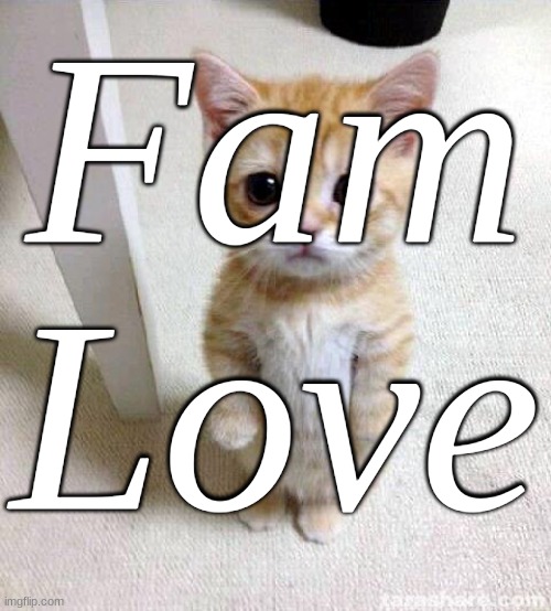 https://imgflip.com/m/FamilyLove | Fam Love | image tagged in memes,cute cat | made w/ Imgflip meme maker