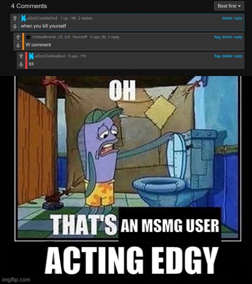 TCK not taking a joke. -spider | AN MSMG USER; ACTING EDGY | made w/ Imgflip meme maker