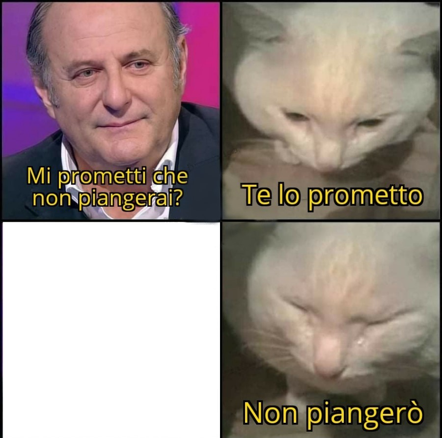 High Quality Gerry Scotti Crying Cat Blank Meme Template
