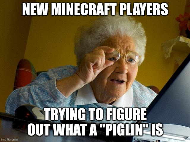 new minecrafters be like | NEW MINECRAFT PLAYERS; TRYING TO FIGURE OUT WHAT A "PIGLIN" IS | image tagged in memes,grandma finds the internet | made w/ Imgflip meme maker