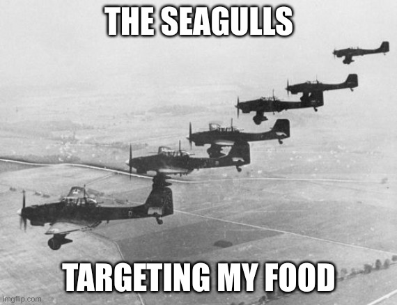 Stukas | THE SEAGULLS; TARGETING MY FOOD | image tagged in stukas | made w/ Imgflip meme maker