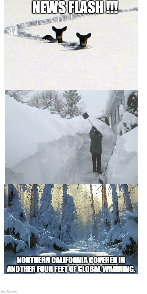 News Flash !!! | NEWS FLASH !!! NORTHERN CALIFORNIA COVERED IN ANOTHER FOUR FEET OF GLOBAL WARMING. | image tagged in memes,news,california | made w/ Imgflip meme maker