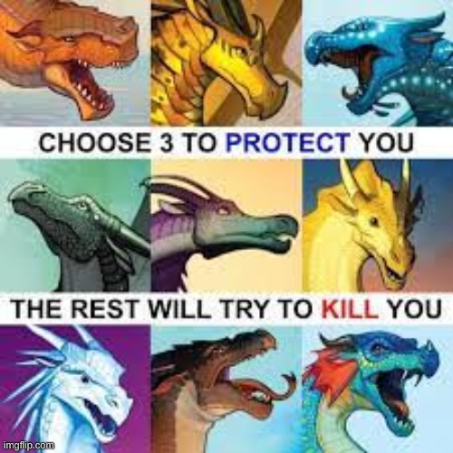 WOF CHOOSE YOUR 3 | image tagged in wof | made w/ Imgflip meme maker