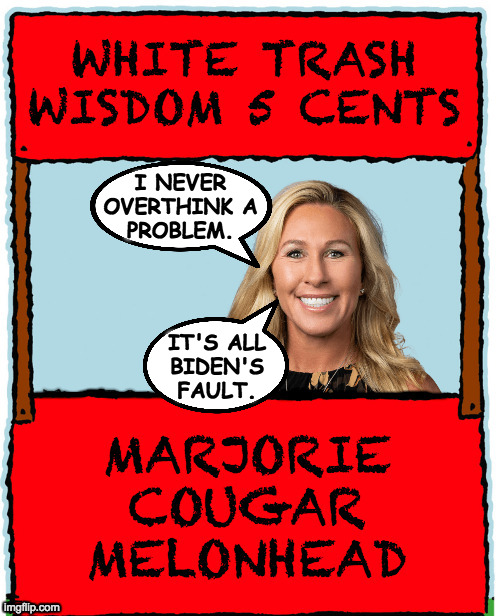 Specializing in drug problems, border security, national divorces, election security, shootings, and American greatness. | I NEVER
OVERTHINK A
PROBLEM. IT'S ALL
BIDEN'S
FAULT. | image tagged in white trash wisdom,memes,marjorie taylor greene | made w/ Imgflip meme maker