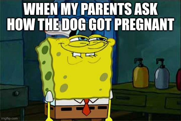 i dont have any idea | WHEN MY PARENTS ASK HOW THE DOG GOT PREGNANT | image tagged in memes,don't you squidward | made w/ Imgflip meme maker