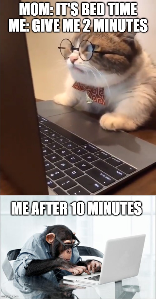 Me using laptop be like: | MOM: IT'S BED TIME
ME: GIVE ME 2 MINUTES; ME AFTER 10 MINUTES | image tagged in research cat,monkey-laptop | made w/ Imgflip meme maker