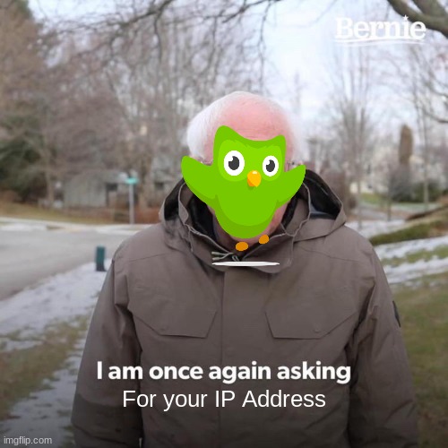 Oh no Run! | For your IP Address | image tagged in memes,bernie i am once again asking for your support,duolingo | made w/ Imgflip meme maker