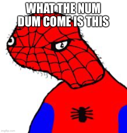 Spooderman | WHAT THE NUM DUM COME IS THIS | image tagged in spooderman | made w/ Imgflip meme maker