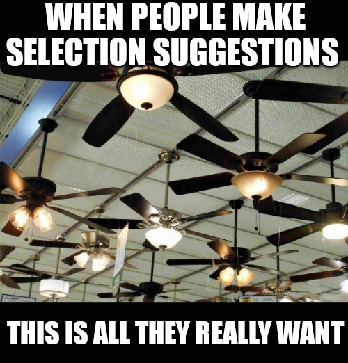 WHEN PEOPLE MAKE SELECTION SUGGESTIONS; THIS IS ALL THEY REALLY WANT | made w/ Imgflip meme maker