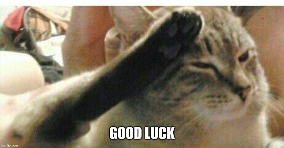 Cat of Honor | GOOD LUCK | image tagged in cat of honor | made w/ Imgflip meme maker