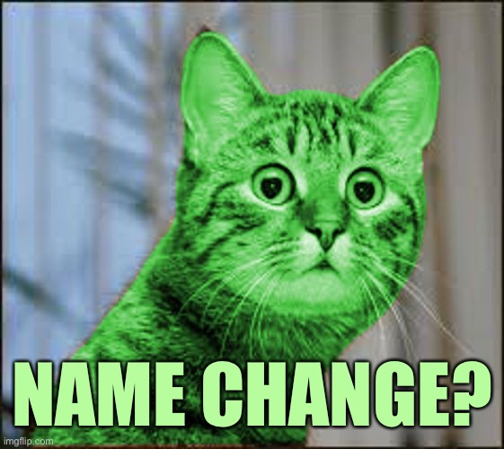 RayCat WTF | NAME CHANGE? | image tagged in raycat wtf | made w/ Imgflip meme maker