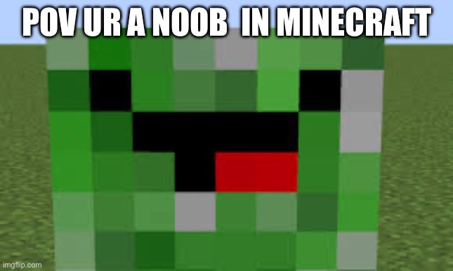 Noobs be like | POV UR A NOOB  IN MINECRAFT | image tagged in mems | made w/ Imgflip meme maker