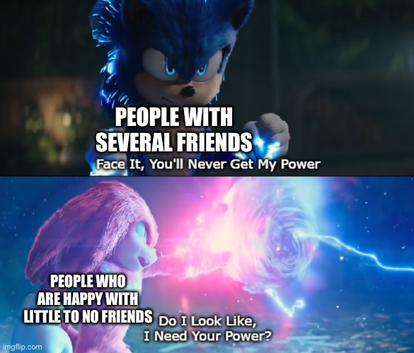 Do I Look Like I Need Your Power Meme | PEOPLE WITH SEVERAL FRIENDS; PEOPLE WHO ARE HAPPY WITH LITTLE TO NO FRIENDS | image tagged in do i look like i need your power meme | made w/ Imgflip meme maker