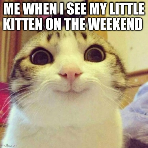 Smiling Cat Meme | ME WHEN I SEE MY LITTLE KITTEN ON THE WEEKEND | image tagged in memes,smiling cat | made w/ Imgflip meme maker