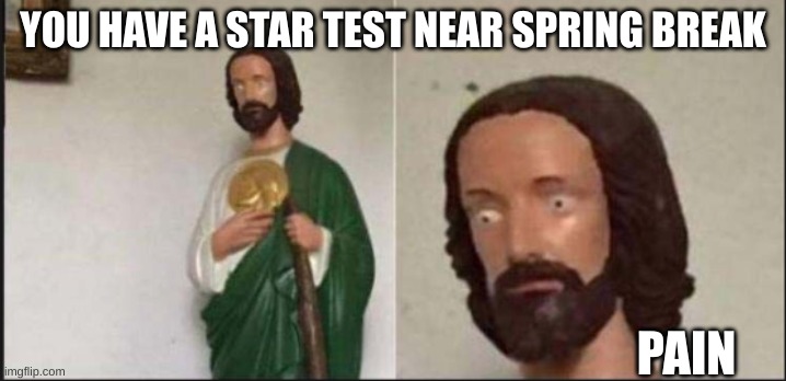 whyyyy | YOU HAVE A STAR TEST NEAR SPRING BREAK; PAIN | image tagged in wide eyed jesus | made w/ Imgflip meme maker