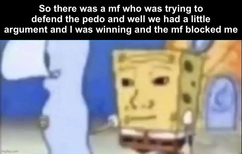Bruh | So there was a mf who was trying to defend the pedo and well we had a little argument and I was winning and the mf blocked me | image tagged in bruh | made w/ Imgflip meme maker