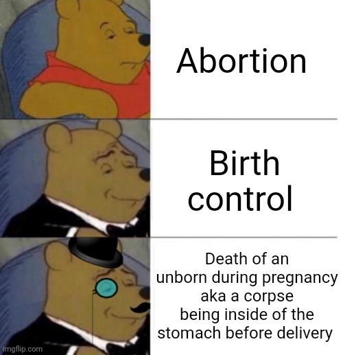 A corpse before delivery | Abortion; Birth control; Death of an unborn during pregnancy aka a corpse being inside of the stomach before delivery | image tagged in tuxedo winnie the pooh 3 panel,abortion,birth control,dark humor,memes,corpse | made w/ Imgflip meme maker