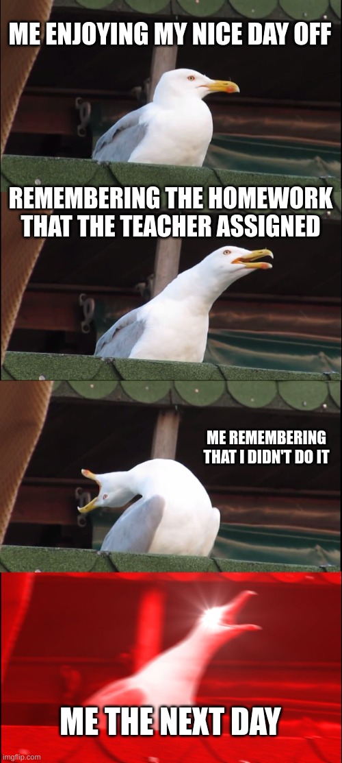 Inhaling Seagull | ME ENJOYING MY NICE DAY OFF; REMEMBERING THE HOMEWORK THAT THE TEACHER ASSIGNED; ME REMEMBERING THAT I DIDN'T DO IT; ME THE NEXT DAY | image tagged in memes,inhaling seagull | made w/ Imgflip meme maker