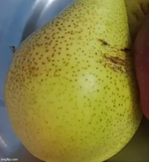 OH MY GOD HES REAL PEAR PAUL IS REA | made w/ Imgflip meme maker