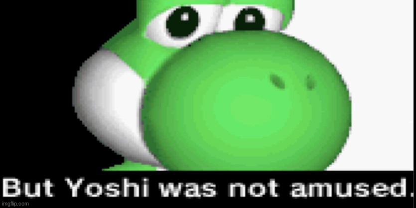 Yoshi was not amused | image tagged in yoshi was not amused | made w/ Imgflip meme maker