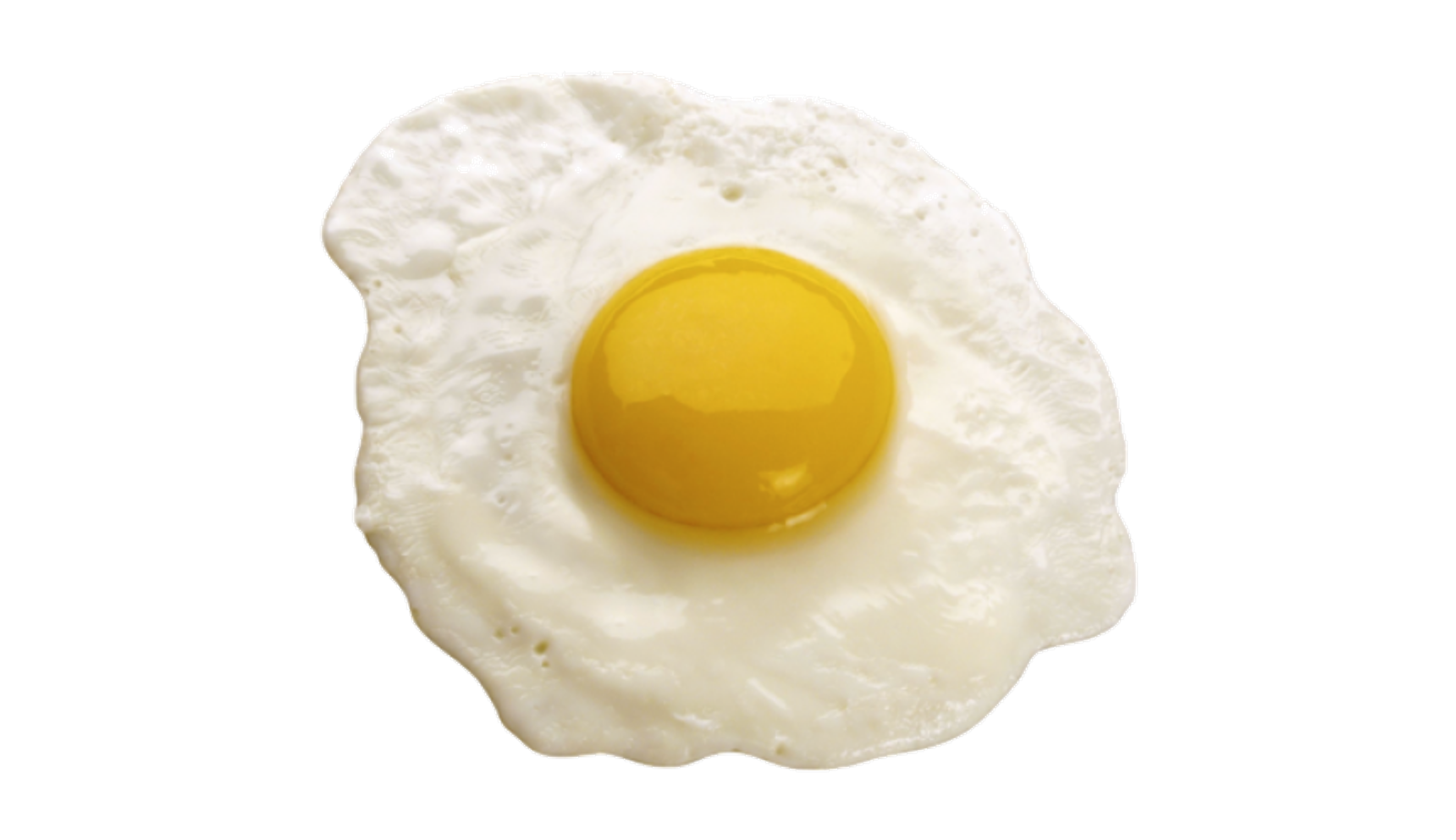 fried egg Blank Meme Template