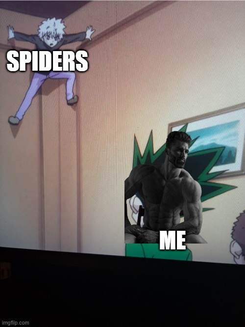 Spider-Killua | SPIDERS; ME | image tagged in spider-killua | made w/ Imgflip meme maker
