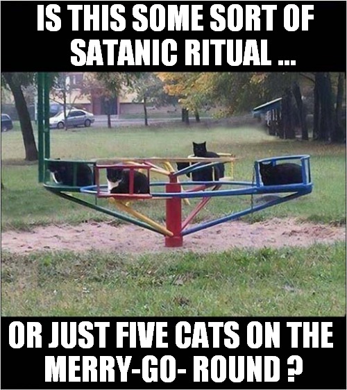 Suspicious Behaviour - You Decide ! | IS THIS SOME SORT OF
   SATANIC RITUAL ... OR JUST FIVE CATS ON THE 
MERRY-GO- ROUND ? | image tagged in cats,suspicious,playground | made w/ Imgflip meme maker