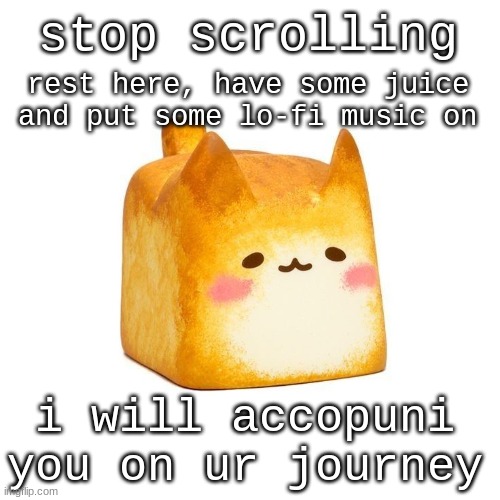 Catbread | stop scrolling; rest here, have some juice and put some lo-fi music on; i will accopuni you on ur journey | image tagged in catbread | made w/ Imgflip meme maker