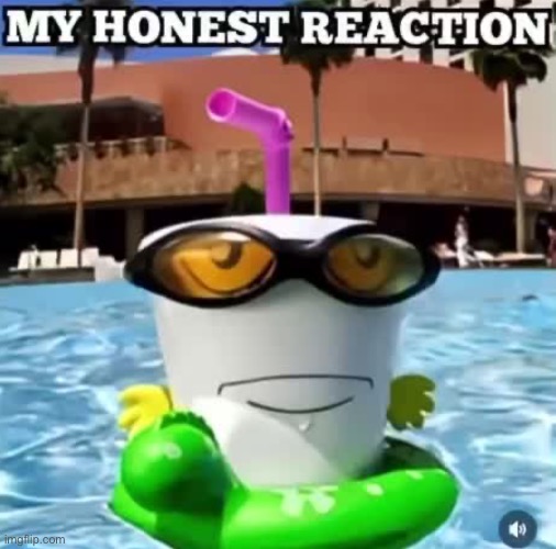 my honest reaction | image tagged in bruh,lol,why are you reading this | made w/ Imgflip meme maker