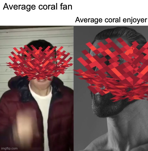 Coral fans be like | Average coral enjoyer; Average coral fan | image tagged in average fan vs average enjoyer,minecraft,gigachad | made w/ Imgflip meme maker