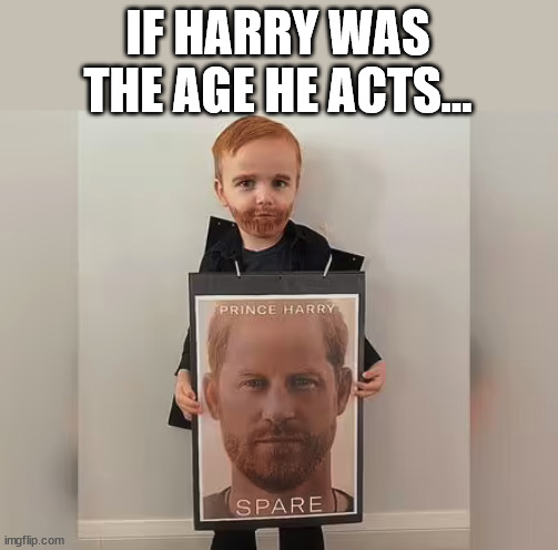 IF HARRY WAS THE AGE HE ACTS... | image tagged in prince harry,royal family | made w/ Imgflip meme maker