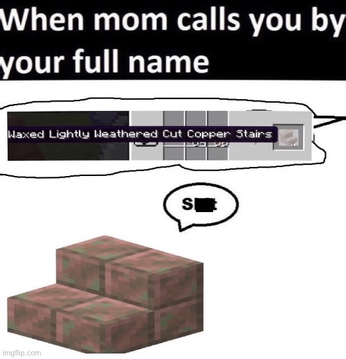 Oh no | image tagged in minecraft memes,minecraft,memes,funny,oh no,mom | made w/ Imgflip meme maker