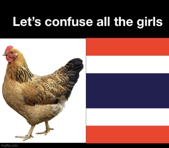 image tagged in repost,memes,funny,thailand,chicken,confused | made w/ Imgflip meme maker