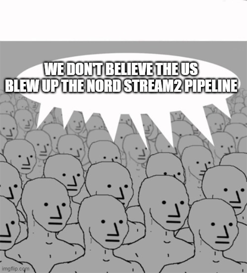 NPCProgramScreed | WE DON'T BELIEVE THE US BLEW UP THE NORD STREAM2 PIPELINE | image tagged in npcprogramscreed | made w/ Imgflip meme maker