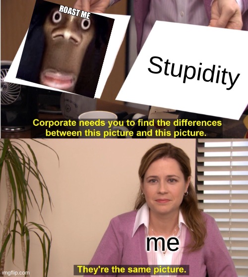 They're The Same Picture Meme | Stupidity me | image tagged in memes,they're the same picture | made w/ Imgflip meme maker