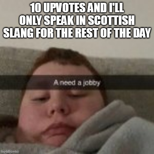 a need a jobby | 10 UPVOTES AND I'LL ONLY SPEAK IN SCOTTISH SLANG FOR THE REST OF THE DAY | image tagged in a need a jobby | made w/ Imgflip meme maker